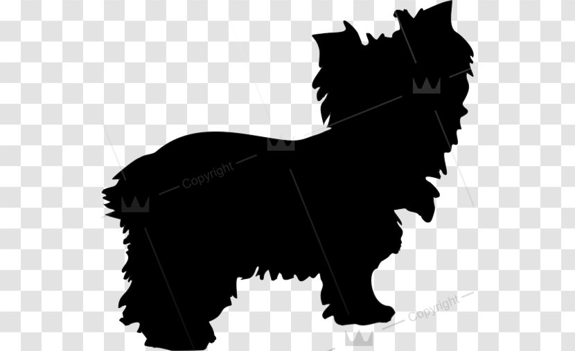 Persian Cat Sticker Dog Decal Polyvinyl Chloride - Like Mammal Transparent PNG