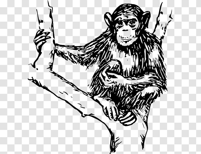 Ape Chimpanzee Monkey Clip Art - Flower - Hairy Transparent PNG