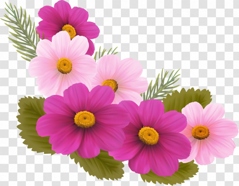 Wedding Invitation Greeting & Note Cards Birthday Wish Flower - Petal Transparent PNG