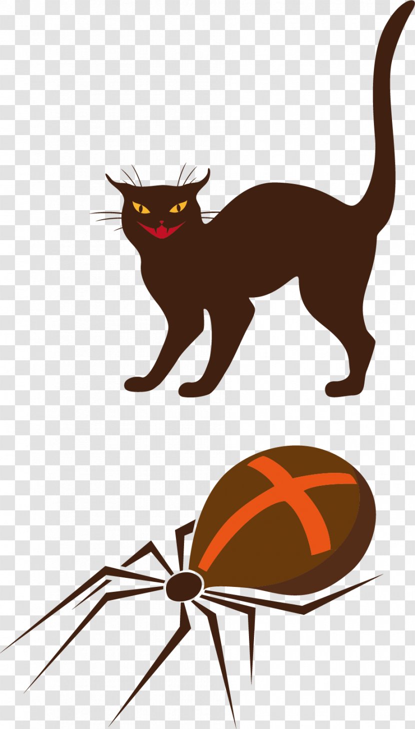 Whiskers Black Cat Halloween Clip Art - Vertebrate - Cartoon And Spider Material Transparent PNG
