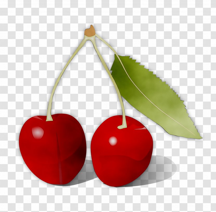 Clip Art Cherries Image Transparency - Wild Cherry - Flower Transparent PNG