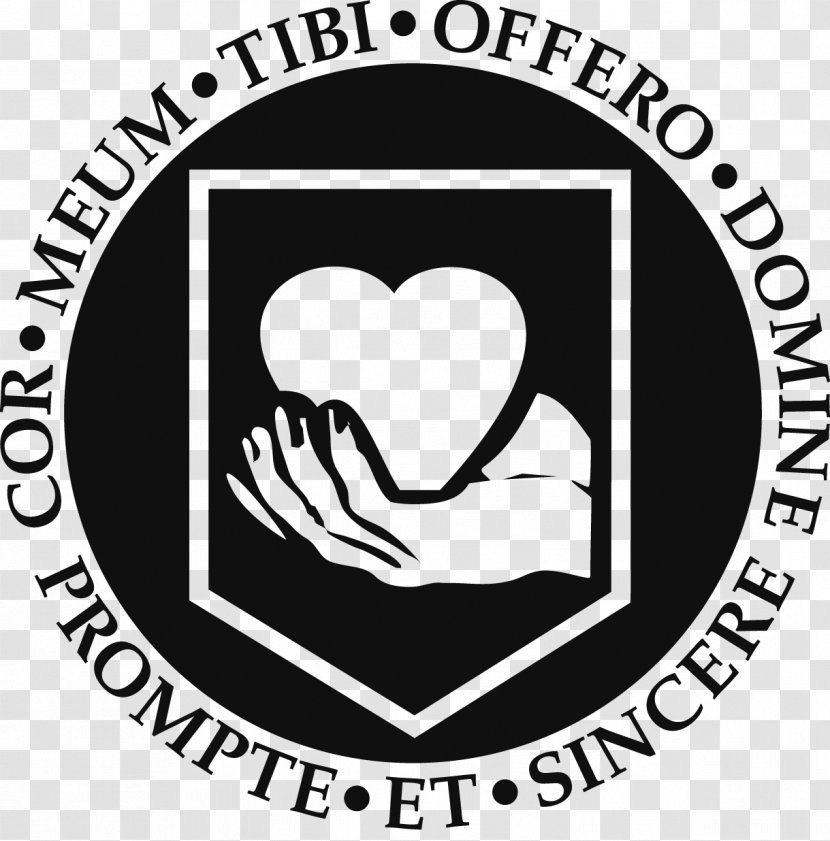 Calvin College Knights Men's Basketball Theological Seminary Central Logo - Cartoon - Heart Transparent PNG