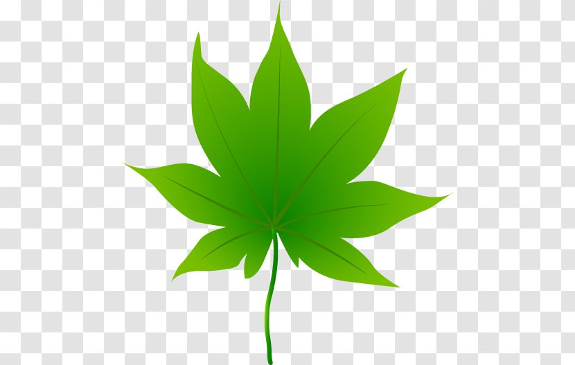 Cannabis Sativa Ruderalis - Leaf Illust Transparent PNG