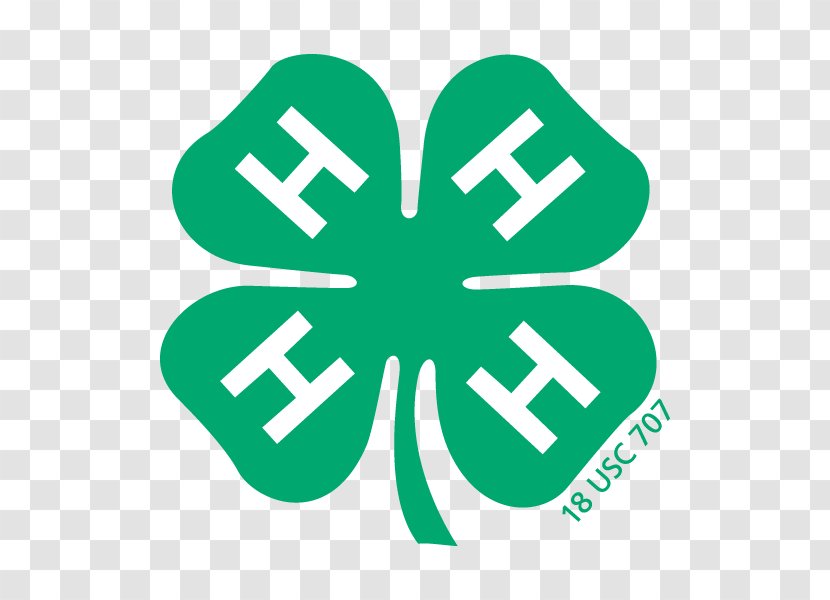 4-H Clover Organization Project United States Of America - Fourleaf Transparent PNG