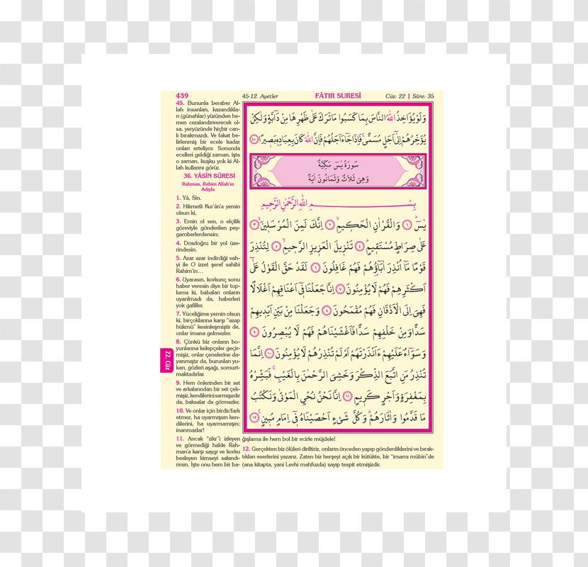 Qur'an Quran Translations Qira'at Directorate Of Religious Affairs - Android - Kuran Transparent PNG