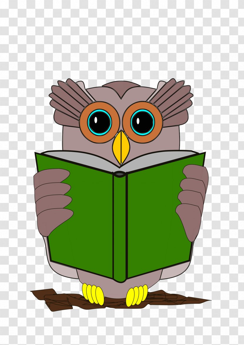 Owl Book Reading Clip Art - Beak Transparent PNG