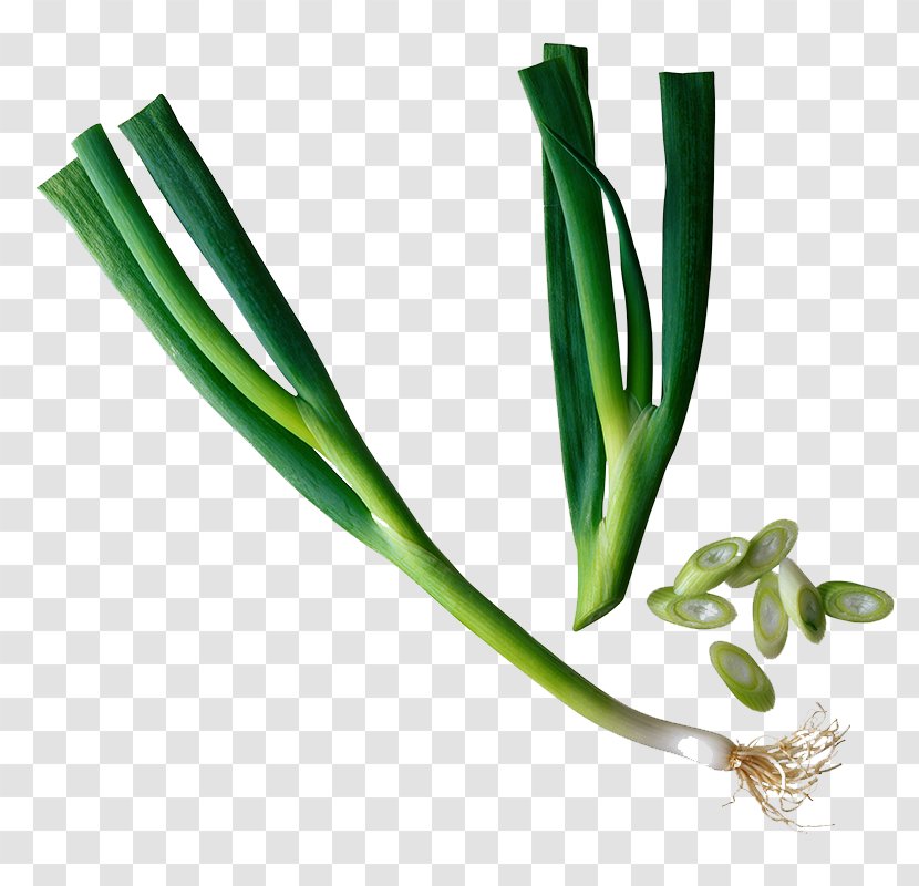 Chinese Cuisine Chives Asian Onion Scallion - Welsh - Garlic Beans Green Onions Transparent PNG