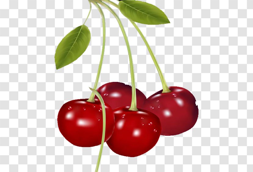 Cherry Pie Fruit Clip Art - Barbados Transparent PNG