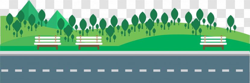 Road Asphalt - Green - Woodland Transparent PNG