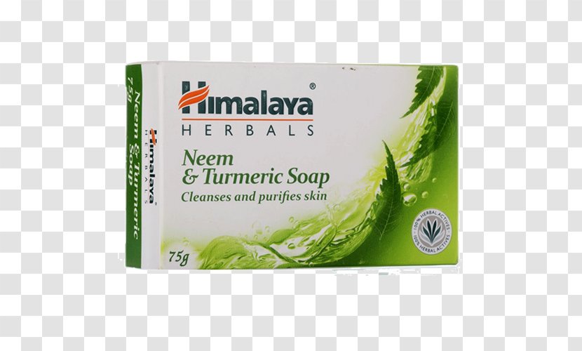 Himalaya Neem And Turmeric Soap Tree Herbals - Herbal Transparent PNG