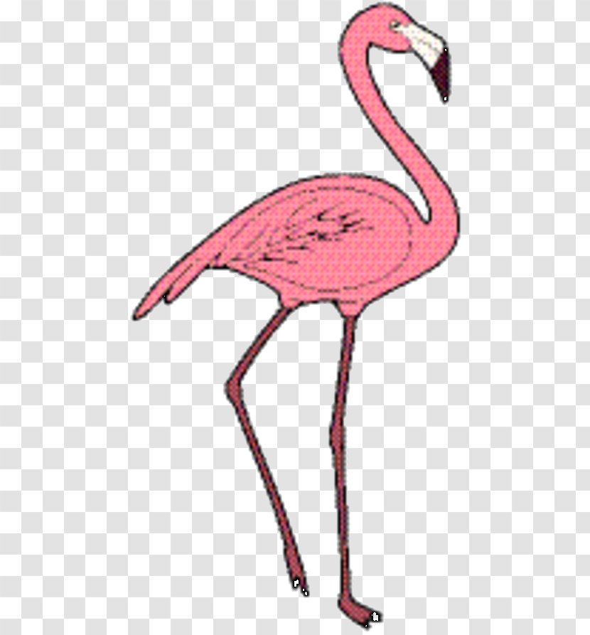 Pink Flamingo - M - Water Bird Transparent PNG