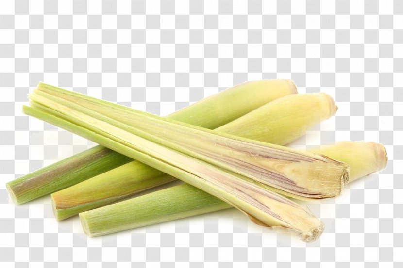 Cymbopogon Citratus Lemon Stock Photography Food - Leek - Grass Free Download Transparent PNG