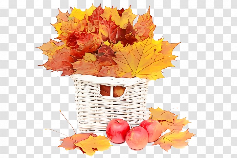 Maple Leaf - Watercolor - Autumn Transparent PNG