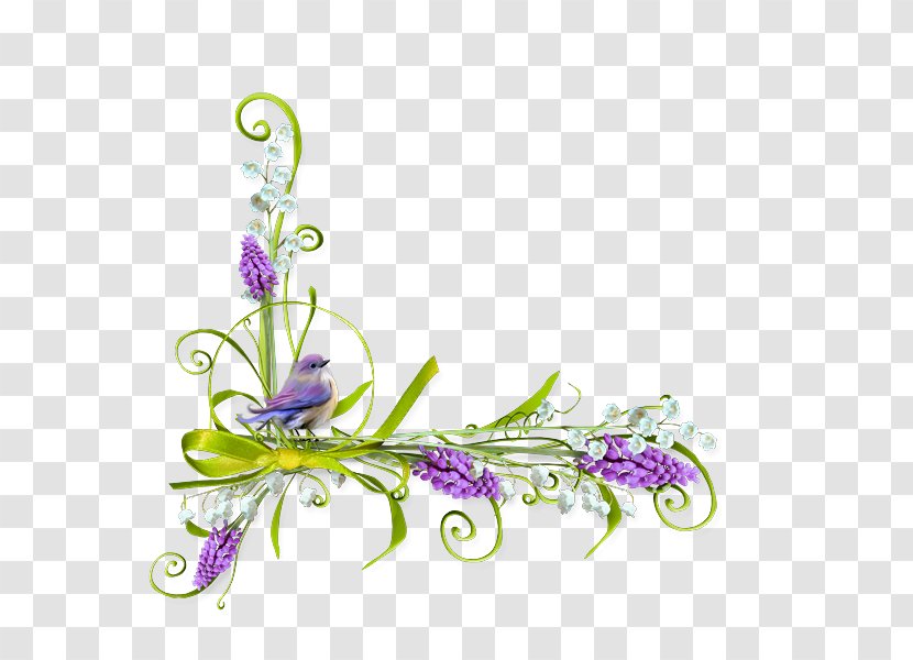 Paper Curb Drawing Picture Frames - Floral Design - Flower Transparent PNG
