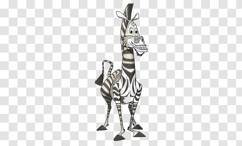 Giraffe Marty Mort Madagascar Zebra - Black And White Transparent PNG