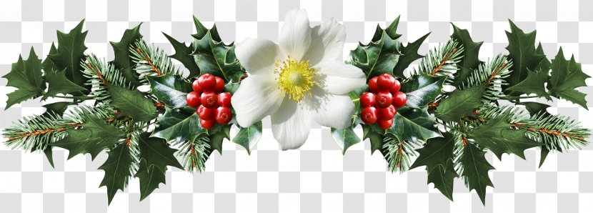 Common Holly Mistletoe Christmas Clip Art Transparent PNG