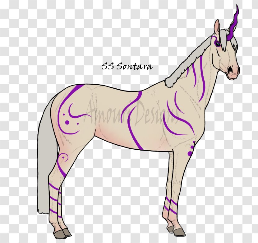 Mule Foal Halter Stallion Mare - Mammal - Donkey Transparent PNG