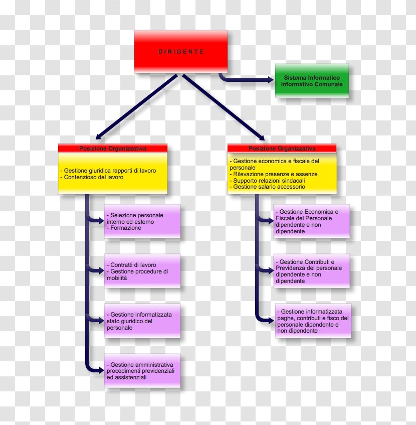 Human Resource Management Organizational Chart Bilgi Sistemi - Men Surprise Transparent PNG