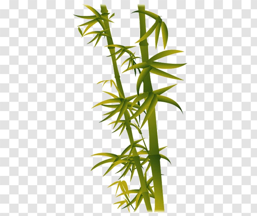 Bamboo If(we) Leaf - Hemp Transparent PNG