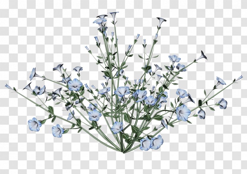 Flower Plant Branch Flowering Twig - Cut Flowers Delphinium Transparent PNG