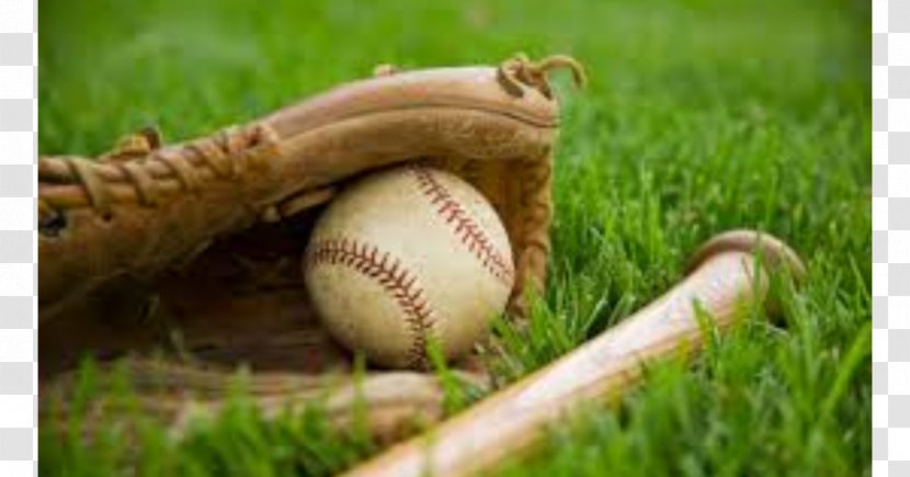 Kansas Wesleyan University 2017 Major League Baseball Season Coyotes Football Sports Transparent PNG