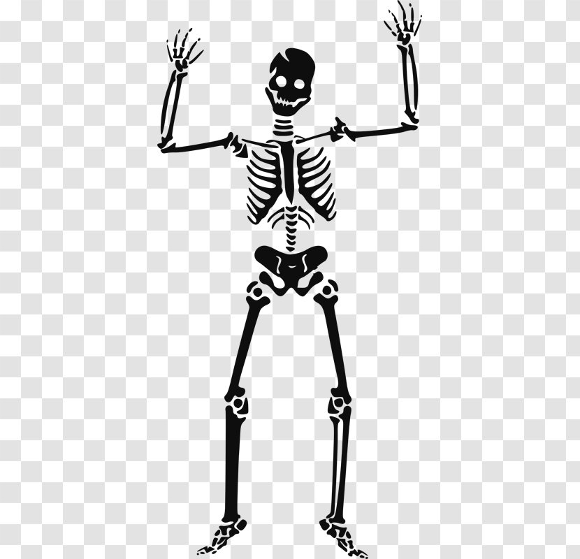 Human Skeleton Clip Art Transparent PNG