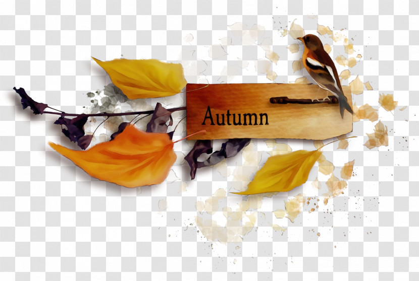 Leaf Autumn Defoliation Blog Twig Transparent PNG