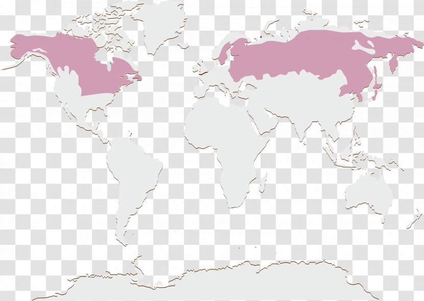 World Map Pink M Transparent PNG