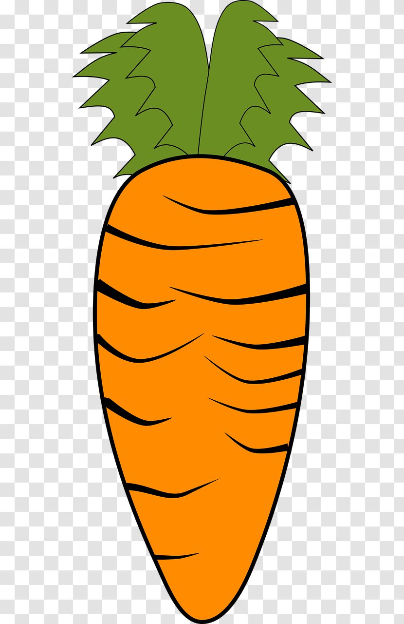 Carrot Vegetable Organic Food Clip Art - Plant Transparent PNG