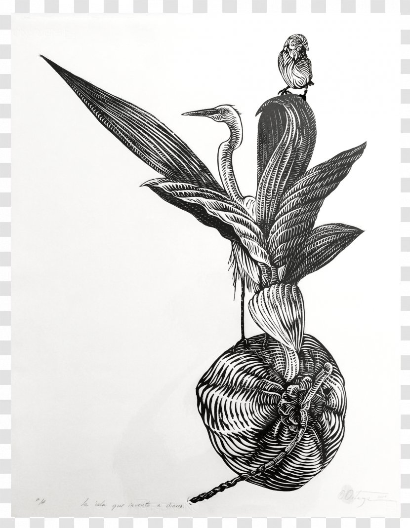 Drawing Art Printmaking - Flowering Plant - Amancio Ortega Transparent PNG