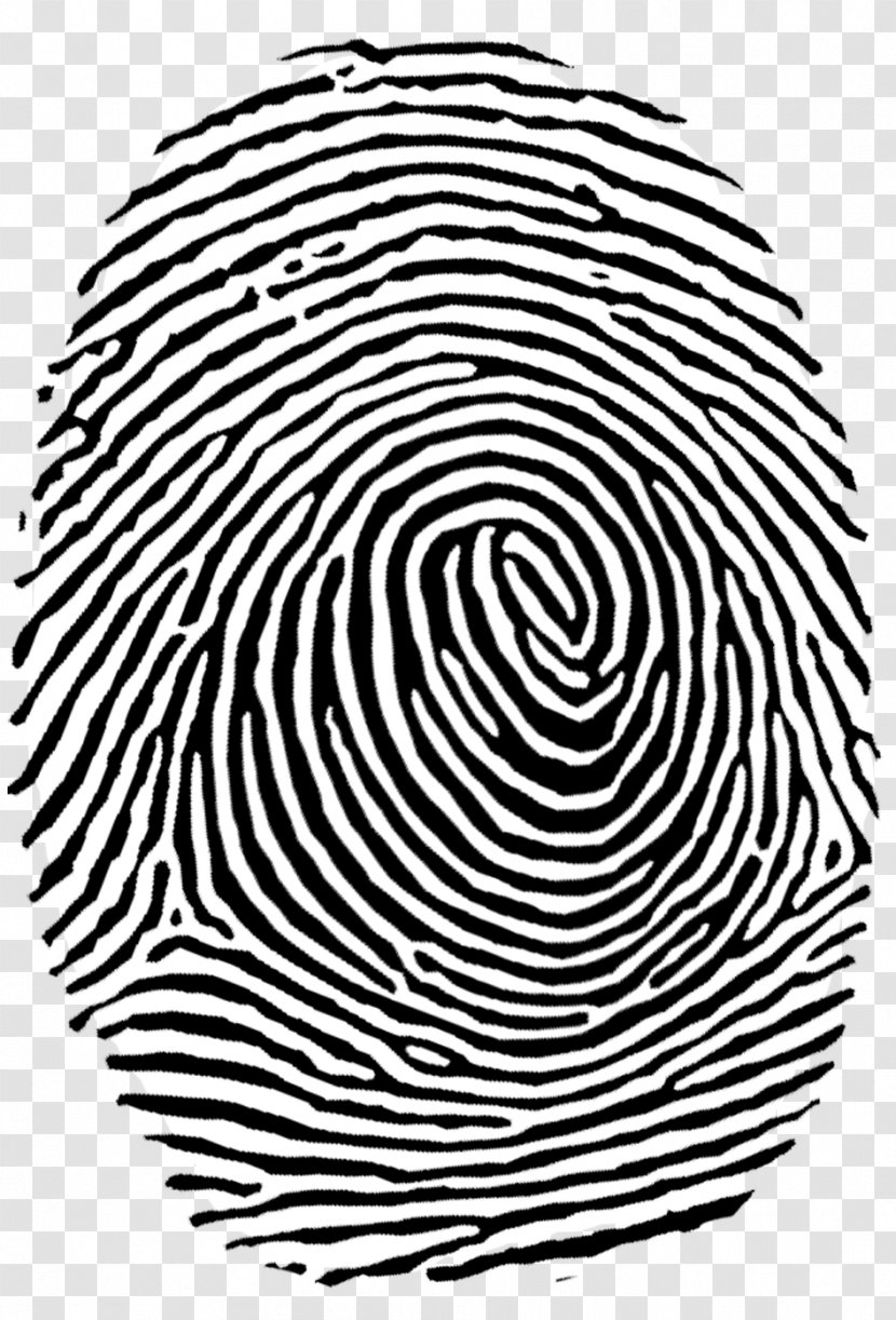 Fingerprint Authentication Clip Art - Magnifying Glass Transparent PNG