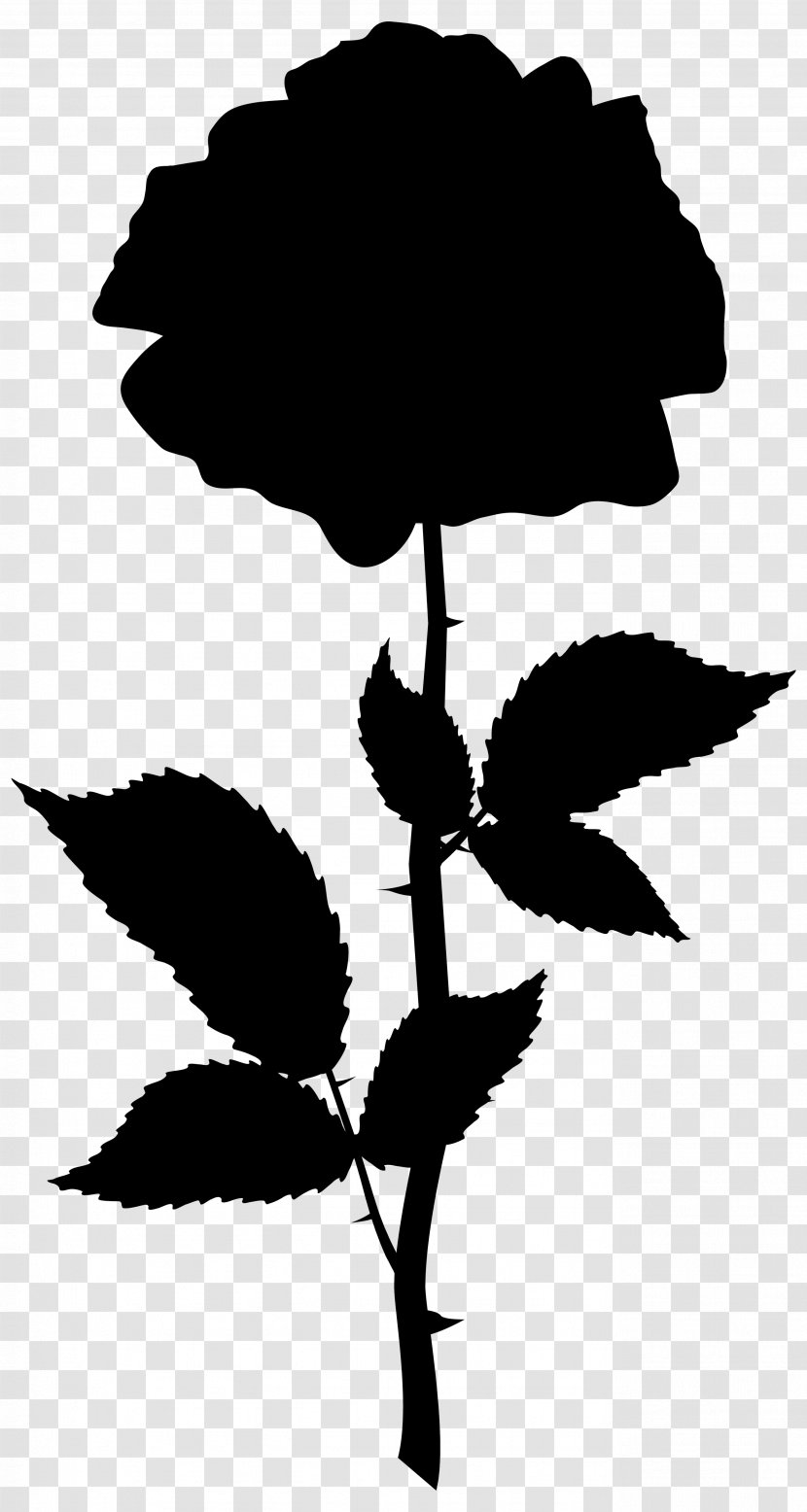 Flower Plant Stem Leaf Clip Art Silhouette - Botany - Wildflower Transparent PNG