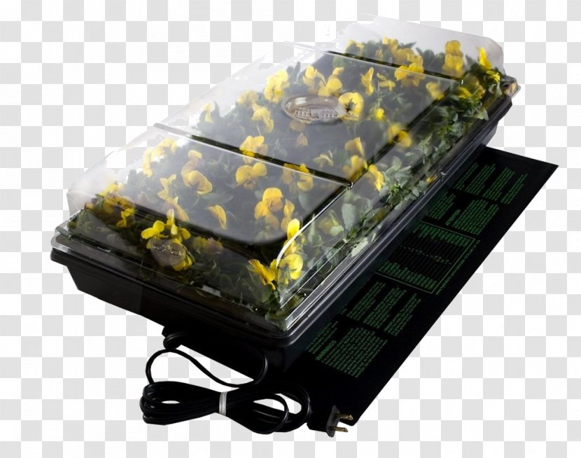 Germination Plant Propagation Heat Seedling - Seed Transparent PNG