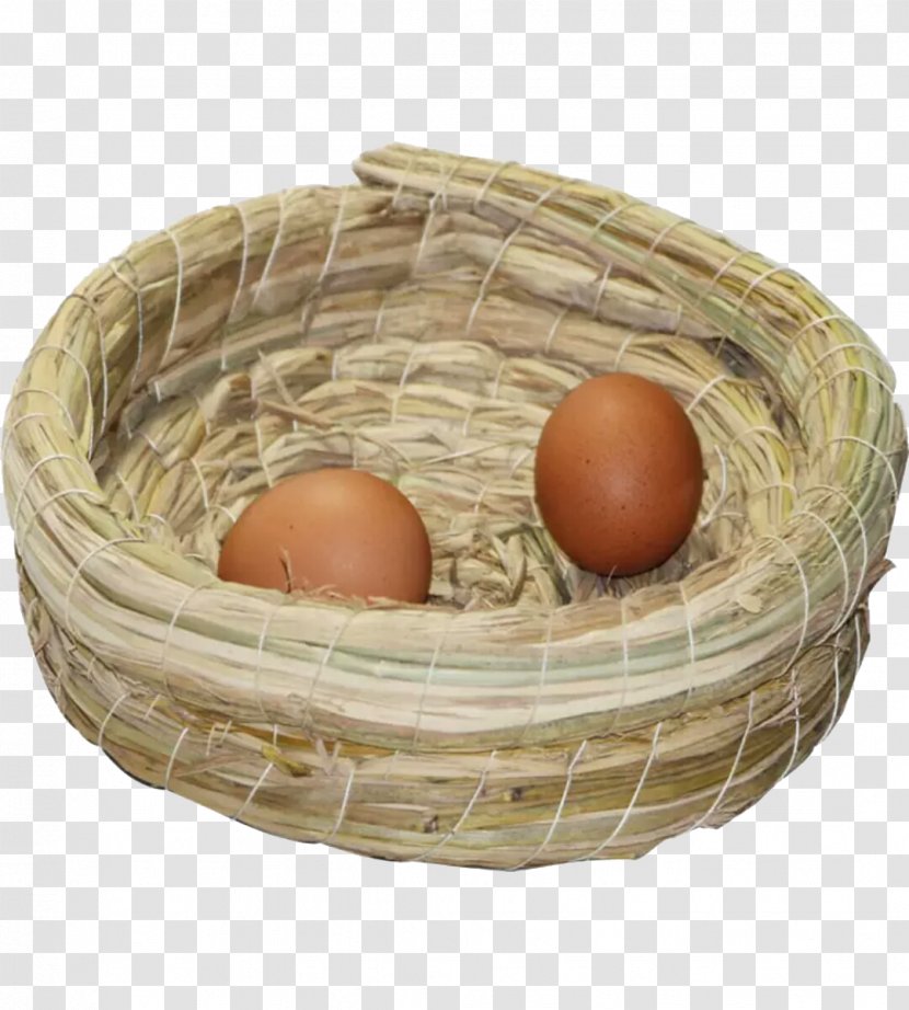Download Google Images If(we) Icon - Designer - Two Eggs Inside The Nest Transparent PNG