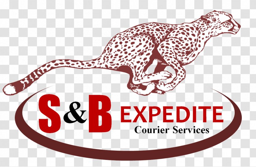 S&B Expedite Courier Brand Commercial Drive Delivery - Logo - Omni Tech Trans Llc Transparent PNG