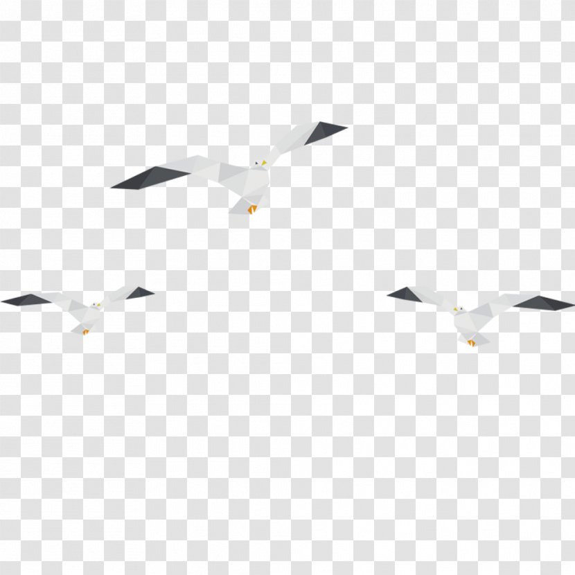 Line Angle Point White Pattern - Product Design - Gull Transparent PNG