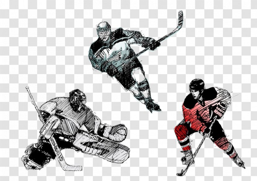 Ice Hockey Photography Illustration - Headgear - Player Transparent PNG