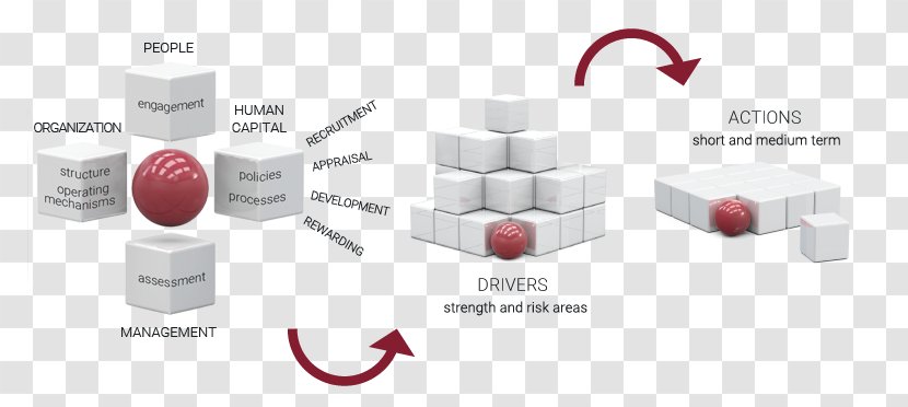 Due Diligence Human Capital Organization Change Management Business Process Transparent PNG