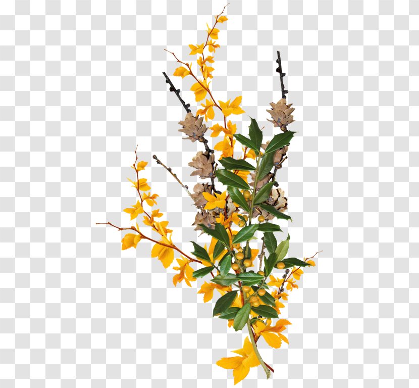 Leaf Flower Clip Art - Plant Stem - Idea Transparent PNG