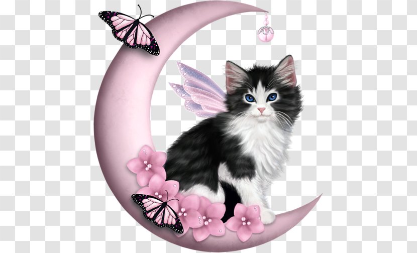 Cat Felidae Kitten Earth Pearl - Crossstitch Transparent PNG