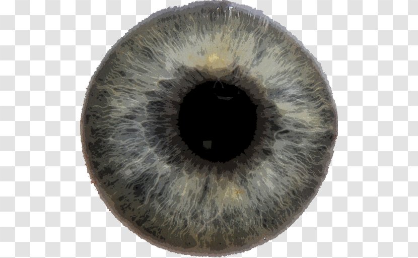 Iris Eye Pupil Color - Heart Transparent PNG