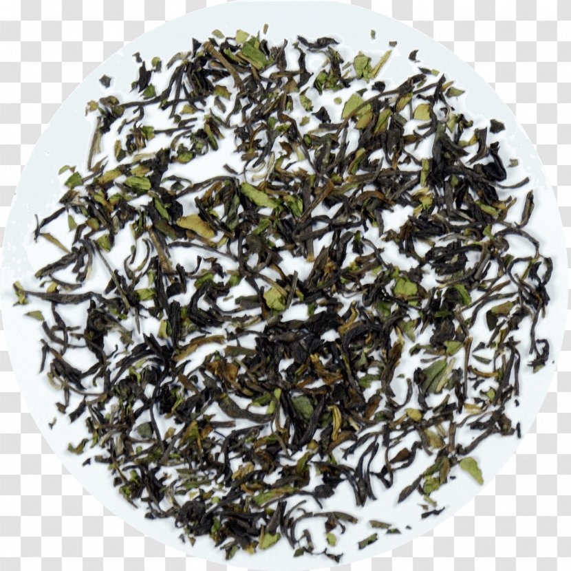 Darjeeling Tea Assam Nilgiri Biluochun - Huangshan Maofeng Transparent PNG