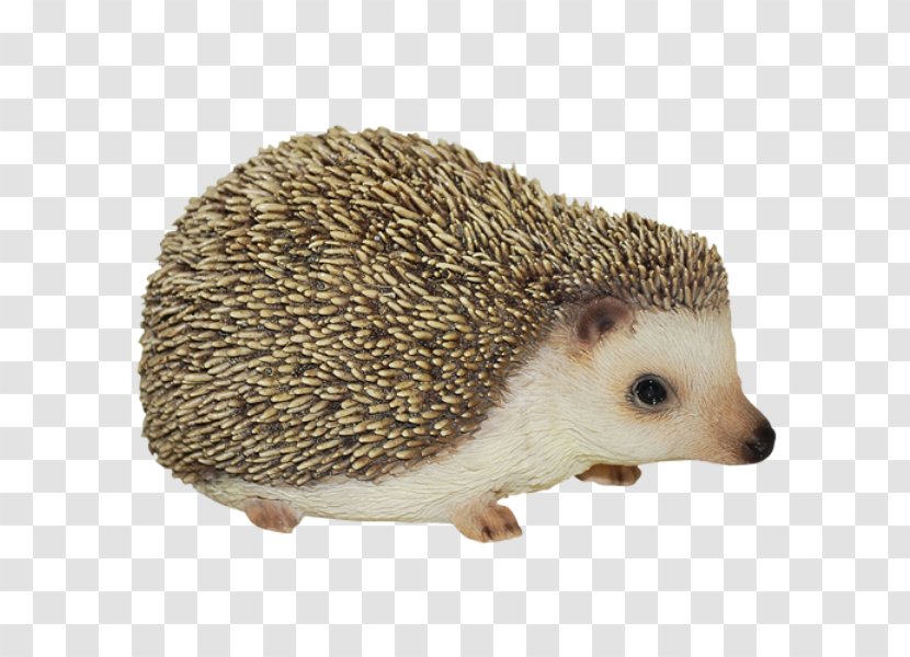 Baby Hedgehogs Figurine Ornament Domesticated Hedgehog - Snout Transparent PNG