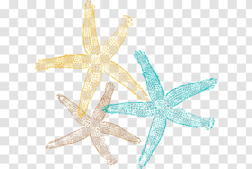 Starfish Sand Dollar Desktop Wallpaper Clip Art - Sea Star Transparent PNG