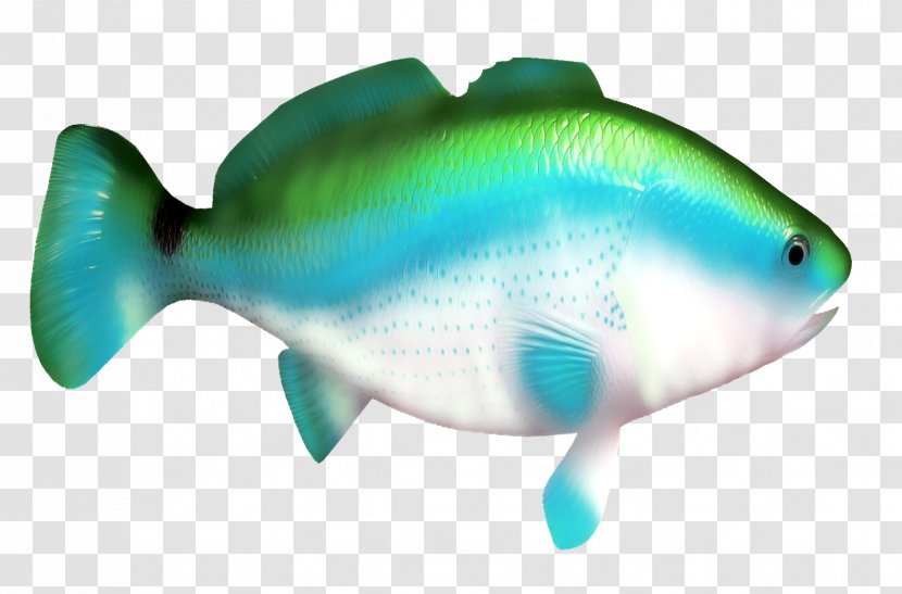 Shark Fish Clip Art - Blue Transparent PNG