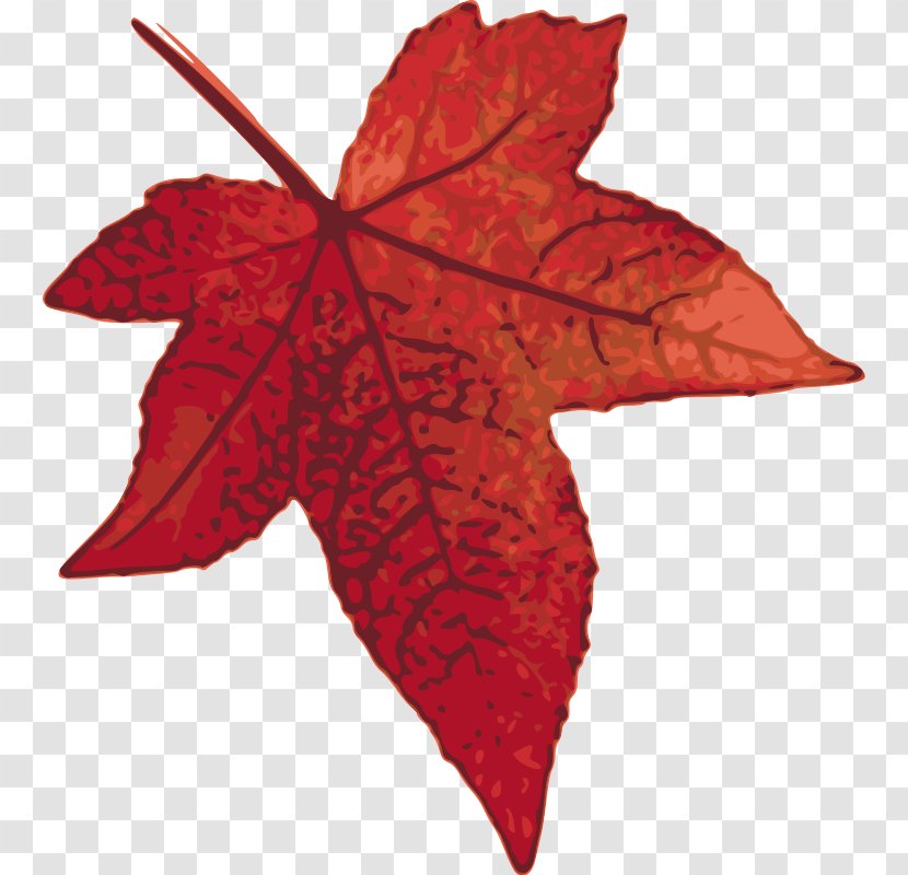 Canada Maple Leaf Clip Art - Drawing - Free Crab Clipart Transparent PNG
