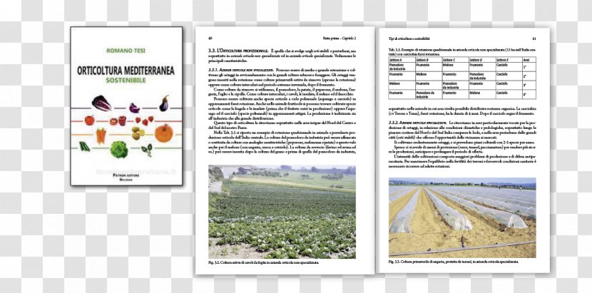 Orticoltura Mediterranea Sostenibile Brochure Romano Tesi - Cremonese Transparent PNG
