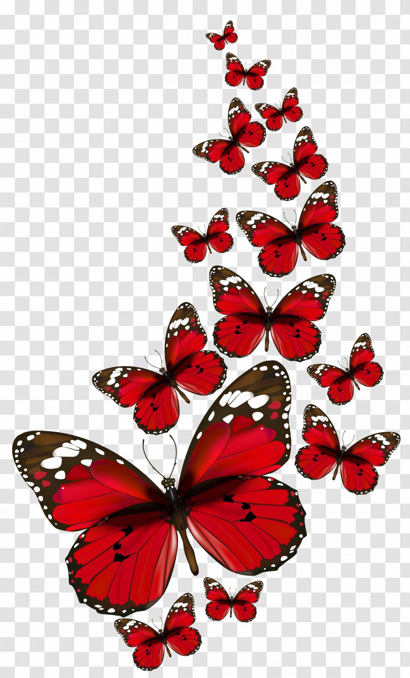 Butterfly Clip Art - Invertebrate - Red Butterflies Vector Clipart Transparent PNG