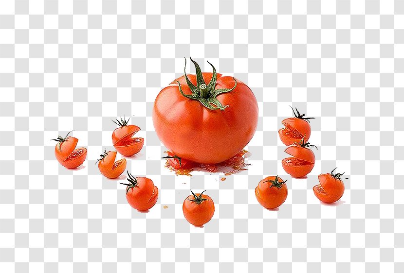 Tomato Creativity Food Photography - Tomatoes Decorative Pattern Design Transparent PNG