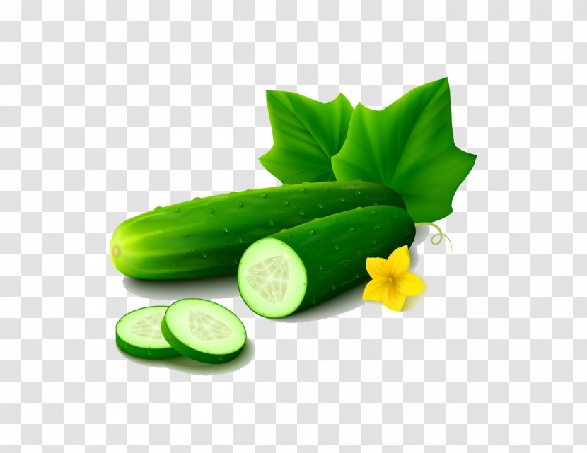 Cucumber Vegetable Cartoon Transparent PNG
